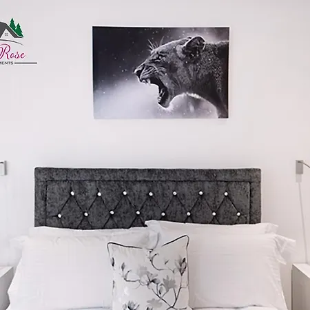 Lillyrose Serviced Apartments - St Albans City Centre Exterior photo